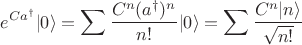 $$
 e^{Ca^\dagger} |0\rangle = \sum \frac{C^n(a^\dagger)^n }{n!}|0\rangle=\sum \frac{C^n |n \rangle }{\sqrt{n!}}
$$