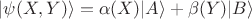 $\vert\psi(X,Y)\rangle = \alpha(X)\vert A \rangle + \beta(Y) \vert B\rangle$