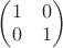 $\begin{pmatrix}1&0\\0&1\end{pmatrix}$