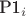 P1_i