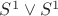 $S^1 \vee S^1$
