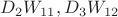 $D_2W_{11}, D_3W_{12}$