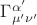 $\Gamma^{\alpha'}_{\mu'\nu'}$