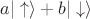 $a|\uparrow\rangle+b|\downarrow\rangle$