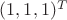 $(1, 1, 1)^{T}$