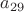 $a_{29}$