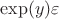 $\exp(y)\varepsilon$