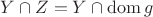 $Y\cap Z=Y\cap \mathrm{dom}\,g$