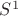 $S^{1}$ $S^{1}$
