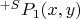 $^{+S}P_1(x,y)$