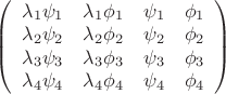 $\left(
\begin{array}{cccc}
\lambda _1 \psi _1 & \lambda _1 \phi _1 & \psi _1 & \phi _1 \\
\lambda _2 \psi _2 & \lambda _2 \phi _2 & \psi _2 & \phi _2 \\
\lambda _3 \psi _3 & \lambda _3 \phi _3 & \psi _3 & \phi _3 \\
\lambda _4 \psi _4 & \lambda _4 \phi _4 & \psi _4 & \phi _4 \\
\end{array}
\right)$ $\left(
\begin{array}{cccc}
\lambda _1 \psi _1 & \lambda _1 \phi _1 & \psi _1 & \phi _1 \\
\lambda _2 \psi _2 & \lambda _2 \phi _2 & \psi _2 & \phi _2 \\
\lambda _3 \psi _3 & \lambda _3 \phi _3 & \psi _3 & \phi _3 \\
\lambda _4 \psi _4 & \lambda _4 \phi _4 & \psi _4 & \phi _4 \\
\end{array}
\right)$
