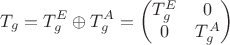 $$
T_g = T^E_g \oplus T^A_g = \begin{pmatrix} T^E_g & 0 \\ 0 & T^A_g \end{pmatrix}
$$