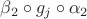 $\beta_2\circ g_j\circ \alpha_2$