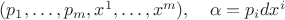 $(p_1,\ldots,p_m,x^1,\ldots,x^m),\quad \alpha=p_idx^i$