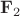 $\mathbf F_2$ $\mathbf F_2$