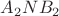 $A_2NB_2$
