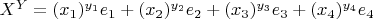 $X^{Y}=(x_1)^{y_1}e_1+(x_2)^{y_2}e_2+(x_3)^{y_3}e_3+(x_4)^{y_4}e_4$
