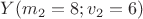 $Y(m_2=8; v_2=6)$