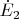 $\dot{E}_2$