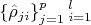$$ \left\{ \hat{\rho}_{ji} \right\}_{j = 1}^{p}_{i = 1}^l $$