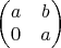 $\left(\begin{matrix}a & b\\0 & a\end{matrix}\right)$