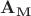 $\mathbf{A_M}$ $\mathbf{A_M}$