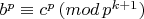 $b^p \equiv c^p \, (mod \, p^{k+1})$