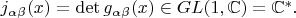 $j_{\alpha\beta}(x)=\det g_{\alpha\beta}(x)\in GL(1,\mathbb{C})=\mathbb{C}^*.$