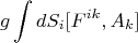 $$g\int dS_i [F^{ik},A_k]$$