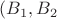$(B_1,B_2$