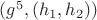 $(g^{5},(h_{1},h_{2}))$