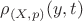 $\rho_{(X, p)}(y, t)$