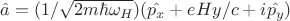 $\hat{a}=(1/\sqrt{2m\hbar\omega_{H}})(\hat{p_{x}}+eHy/c+i\hat{p_{y}})$