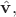 $\hat{\mathbf{v}},$ $\hat{\mathbf{v}},$