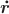 $\boldsymbol{\dot r}$