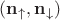 $(\mathbf{n}_{\uparrow}, \mathbf{n}_{\downarrow})$