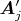 $\boldsymbol{A}_j'$