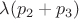 $\lambda(p_2+p_3)$