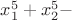 $x_{1}^5+x_{2}^5 - $