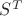 $S^{T}$