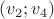 $(v_2;v_4)$