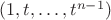 $(1,t,\ldots,t^{n-1})$