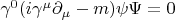 $\gamma^0(i\gamma^\mu\partial_\mu-m)\psi\Psi=0$