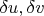 $\delta u, \delta v$