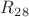 $R_2_8$