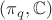 $(\pi_q, \mathbb{C})$