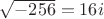 $\sqrt{-256}=16i$