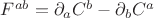 $F^{ab}=\partial_aC^b-\partial_b C^a$