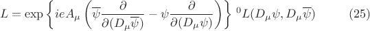 $$L=\exp{ \left \{ i e A_{\mu} \left ( \overline{\psi} \frac{\partial }{\partial (D_{\mu} \overline{\psi})} - \psi  \frac{\partial }{\partial (D_{\mu} \psi)} \right ) \right \} } \; {{}^0 L(D_{\mu} \psi, D_{\mu} \overline{\psi})} \eqno{(25)}$$