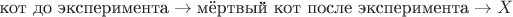 $\text{кот до эксперимента} \to \text{мёртвый кот после эксперимента} \to X$